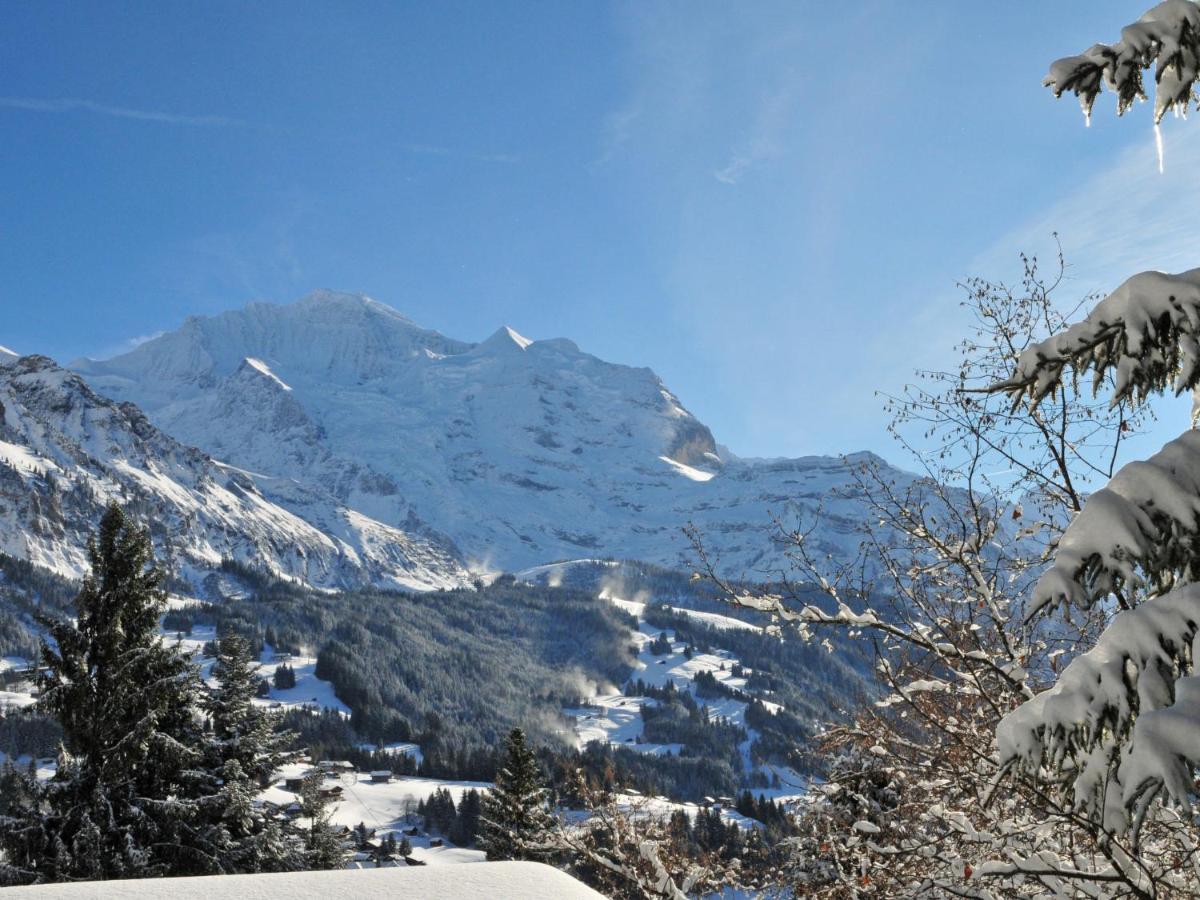 Apartment Goldenhorn Wengen Buitenkant foto