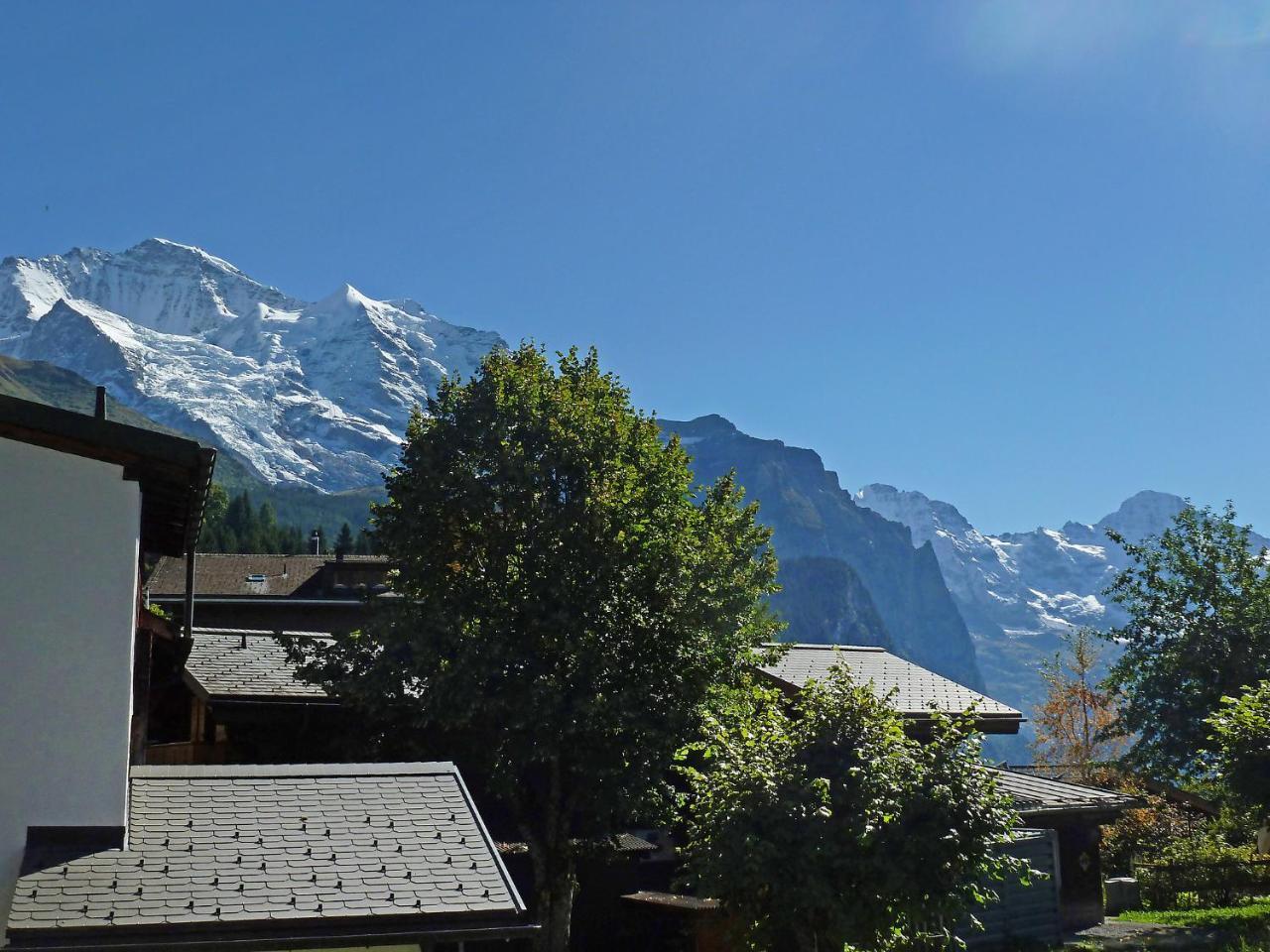 Apartment Goldenhorn Wengen Buitenkant foto